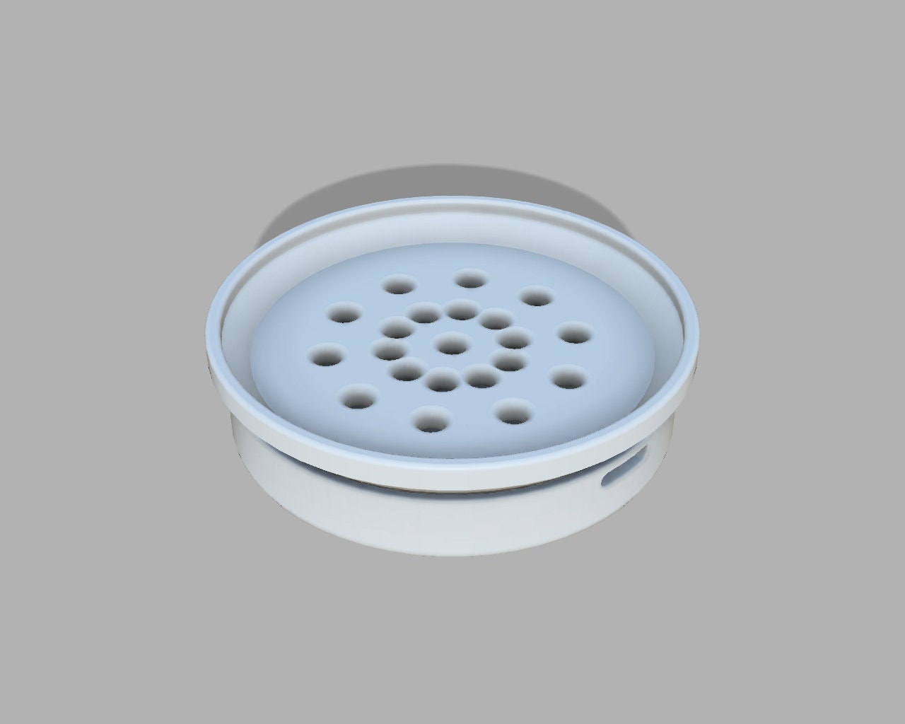 Kitchen Brush Drain Tray