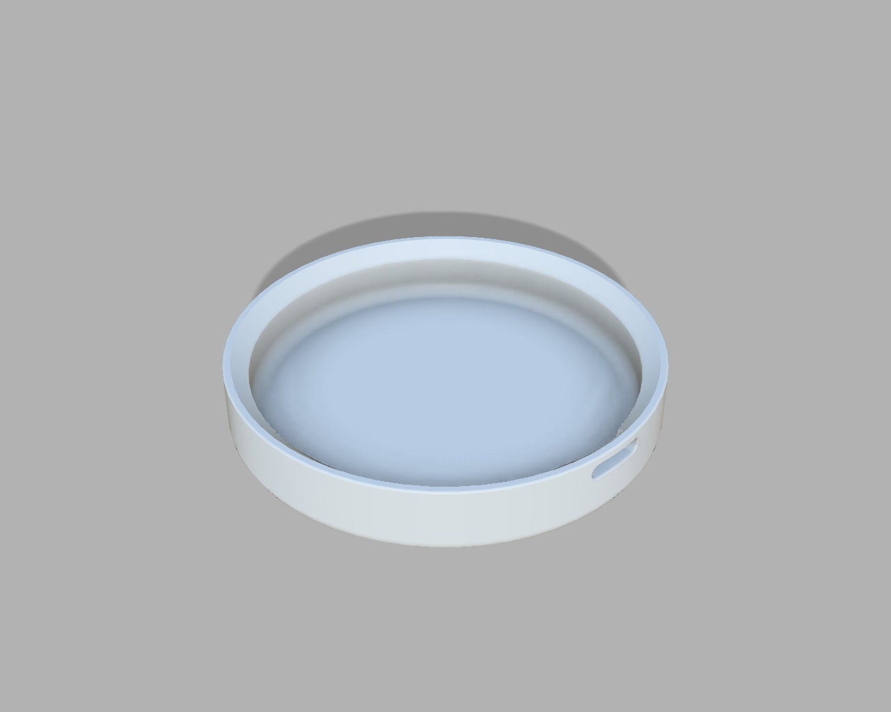 Kitchen Brush Drain Tray